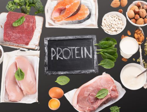 The Importance of Protein Portions for Muscle Development